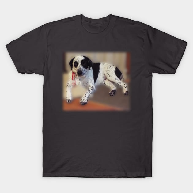 O DOG T-Shirt by HutzcraftDesigns